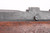 British No4 Mk1 Lee Enfield - .303 British
