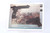 SOLD - Unit-Marked Austro-Hungarian Roth Steyr M1907 - Jan Still Collection