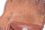 Rare Austrian Steyr-Hahn M1912 Holster - view 3