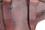 Walther Model 4 pistol rig - holster stitching close-up