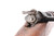 Turkish Ankara M38 Mauser - 1942 mfg - photo 17 of 27