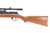 Benjamin Sheridan Model 397PA Air Rifle