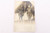 Lt. John Duffey Presentation Sword and Period Documents - 1897
