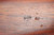 SOLD - Excellent Argentine DWM Model 1909 Mauser - Matching