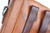 SIG P210 (P49) pistol rig - holster strap close-up