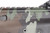 ANIB FN SCAR 16S - Woodland Camo