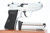 ANIB Nickel Walther PPK/S .22 LR - right side with magazine