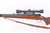1950 Winchester Model 70 - .257 Roberts