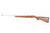ANIB Ruger 10/22 - Stainless