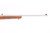 ANIB Ruger 10/22 - Stainless