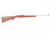 ANIB Ruger 10/22 - Stainless