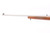 ANIB Ruger 10/22 - Stainless