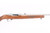 ANIB Ruger 10/22 - Stainless - photo 15 of 22