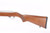 ANIB Ruger 10/22 - Stainless