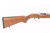 ANIB Ruger 10/22 - Stainless