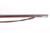 Springfield Model 1870 Trapdoor .50-70 rifle - right side of barrel and muzzle