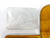 Walther Tin with Oil Can & Cleaning Rags - 2