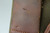 Gorgeous Nazi Femaru Model 37 Rig - Matching Magazine - 13