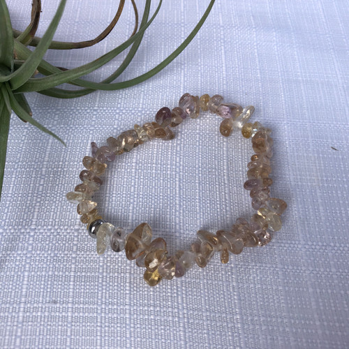 Citrine HTA Chip Stretch Bracelet with air plant behind on a white background