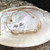Cowrie Shell and White Starfish Gold Cord Anklet