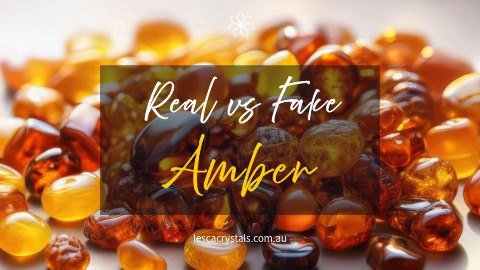 Real vs Fake Amber