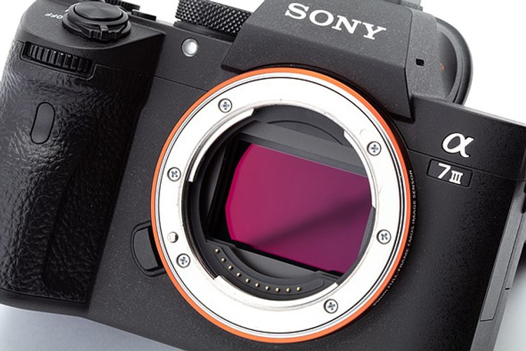 Sony A7S III Coming This Month