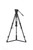 System Ace M GS Mk II