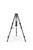 SachtlerTripod 75/2 CF Mk II