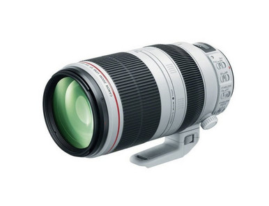 Canon EF 100-400mm f/4.5-5.6L IS II USM Lens | Top-Teks Canon EF 100-400mm f/4.5-5.6L IS II USM Lens | Top-Teks