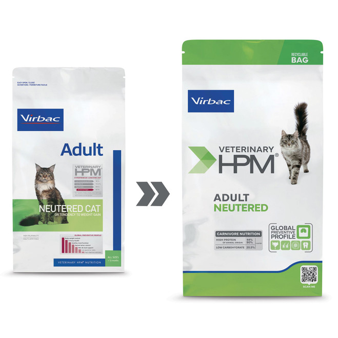 Adult Neutered Cat