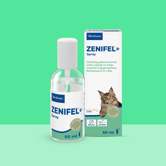 IT_Zenifel-Spray_Unity-visual_1_2026.jpg