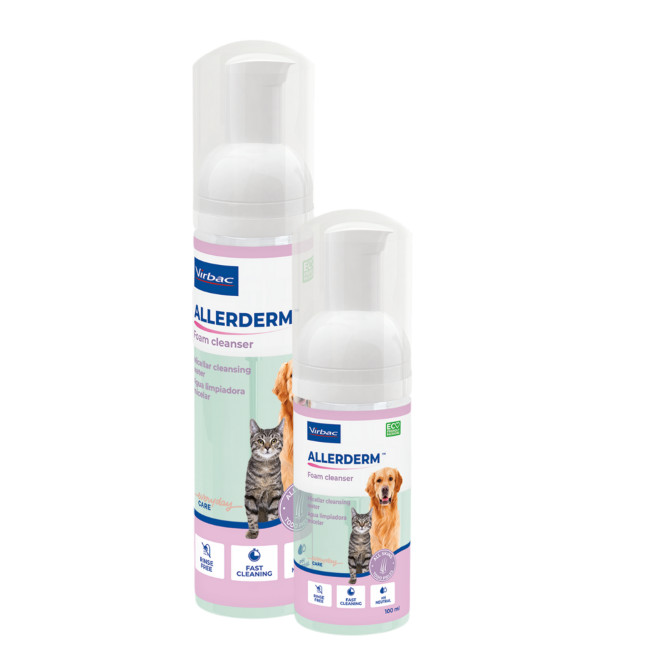 Allerderm Foam