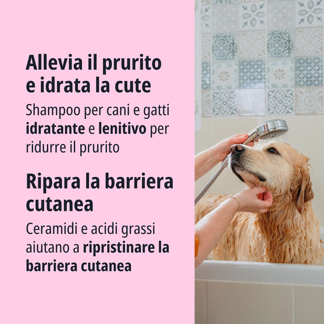 ITA_Allermyl-Shampoo-for-Dogs--Cats_Unity-visual_3_2026.jpg