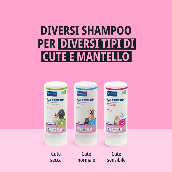IT_Allerderm-Shampoo-For-Dogs--Cats---Dry--Scaly-Skin_Unity-visual_2_2026.jpg