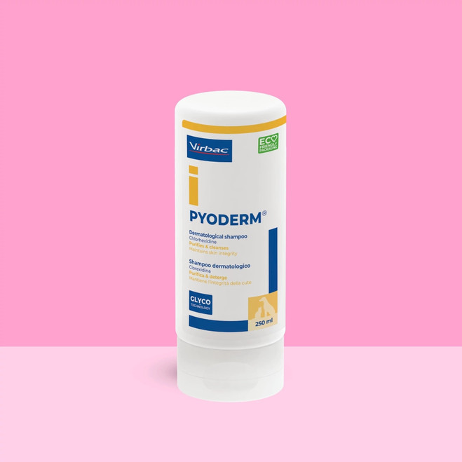ITA_Pyoderm-Shampoo_Unity-visual_1_2026.jpg