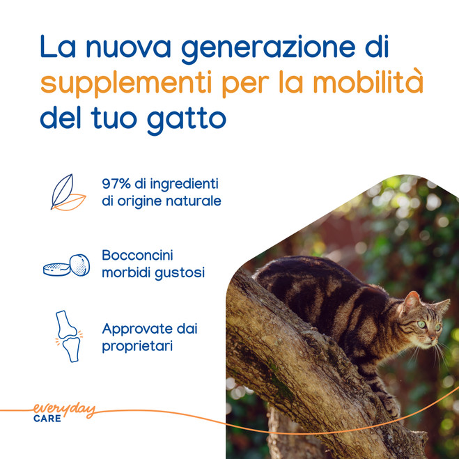 Movoflex® Soft Chews per GATTI