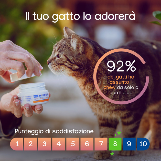 Movoflex® Soft Chews per GATTI