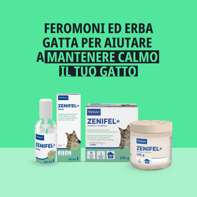 ITA_Zenifel-Gel-Diffuser_Unity-visual_2_2026.jpg