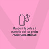 IT_Allerderm-Shampoo-For-Dogs--Cats---Dry--Scaly-Skin_Unity-visual_6_2026.jpg