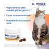 Movoflex® Soft Chews per GATTI