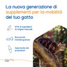 Movoflex® Soft Chews per GATTI