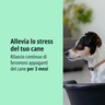 IT_Zenidog-Collar_Unity-visual_3_2026.jpg
