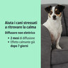 ITA_Zenidog-Gel-Diffuser_Unity-visual_3_2026.jpg