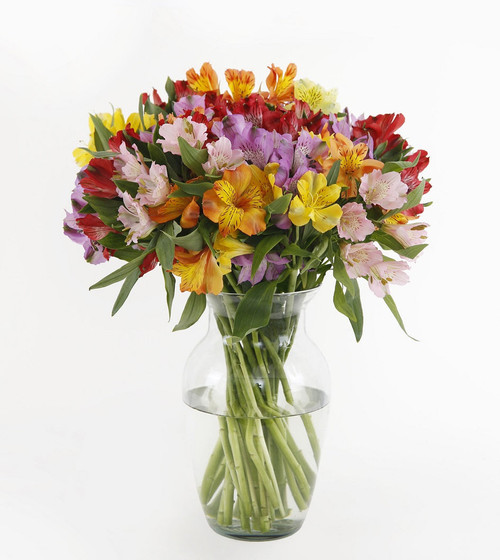 Peruvian Lily Bouquet