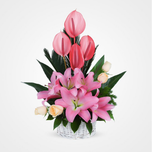 Pelantium Flower Basket سبد گل پلاتینوم