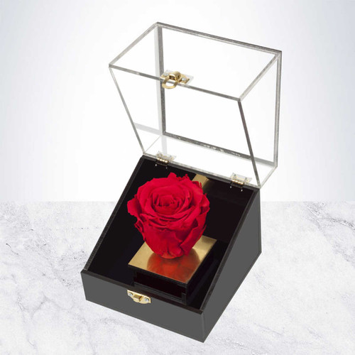 Preserved Rose  رز جاودان