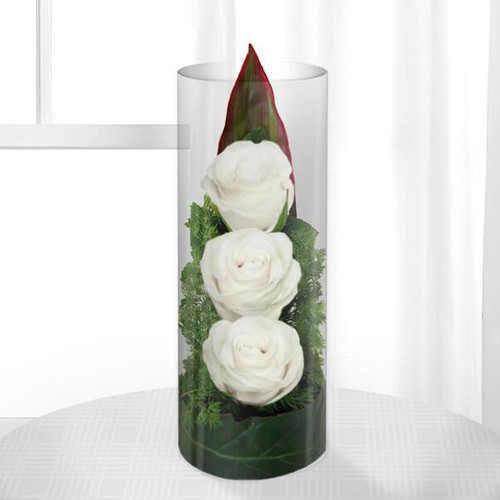 Three White Roses in a Vase   تنگ رز سفید ۳ تایی