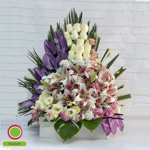 Mehrbod Flower Bx باکس گل مهربد