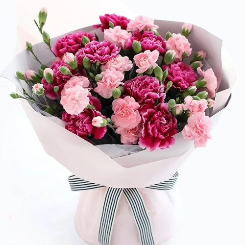 Mahroo Pink Carnation Bouquet دسته گل میخک صورتی ماهرو