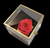 Preserved Rose  رز جاودان